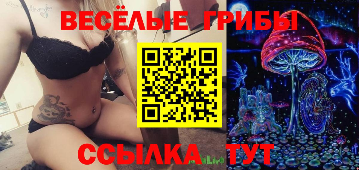 Галлюциногенные грибы MAGIC MUSHROOMS Тольятти